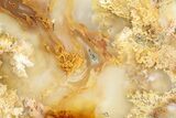 Graveyard Point Plume Agate Slab - Eastern Oregon #229061-1